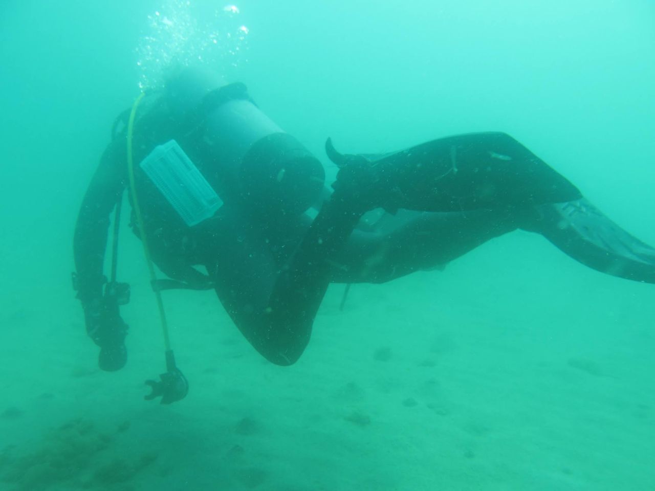 愛媛での潜水調査兼潜水調査訓練