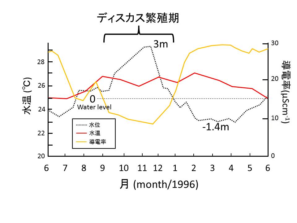 ディスカスがいる川の導電率と水温の月ごとグラフ